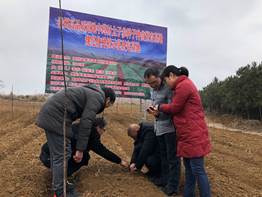 哈药股份上市三十载，砥砺前行共赴未来